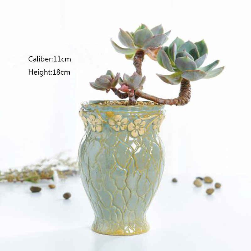 Thực Vật mọng nước Hoa Cỡ Nhỏ  - đánh giá và giá Echeveria Succulent